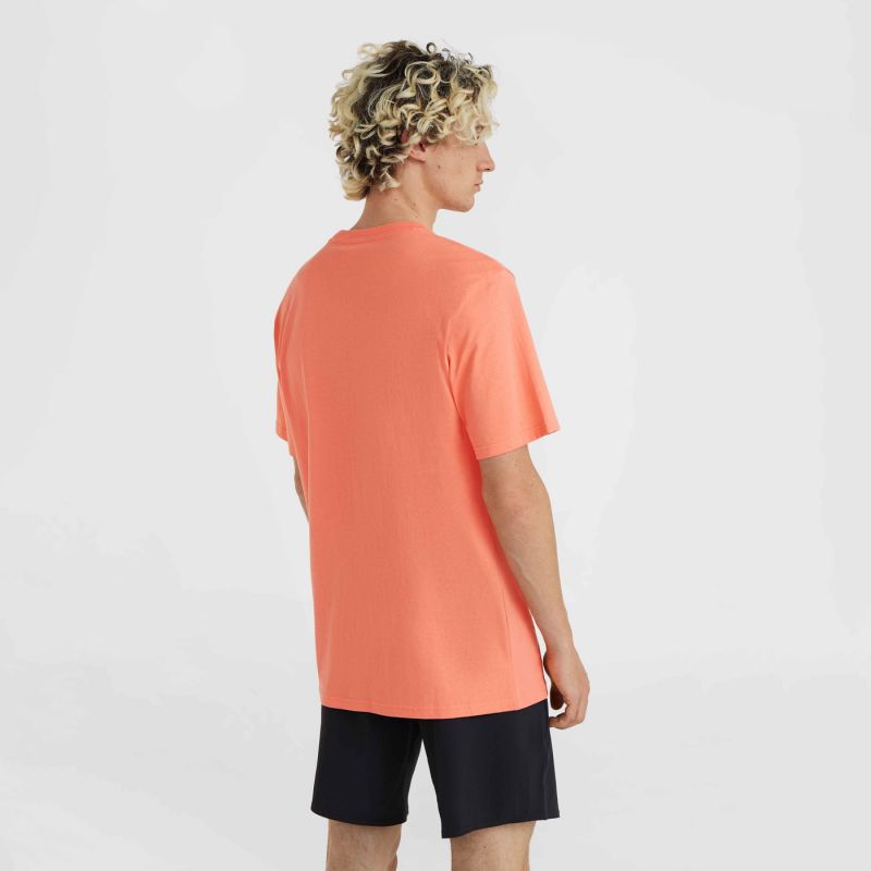 nanito_source_url:https://b2bsportswholesale.net/public/storage/productimages/35/83/2c/75/1116221/image/xlarge_clean.jpg