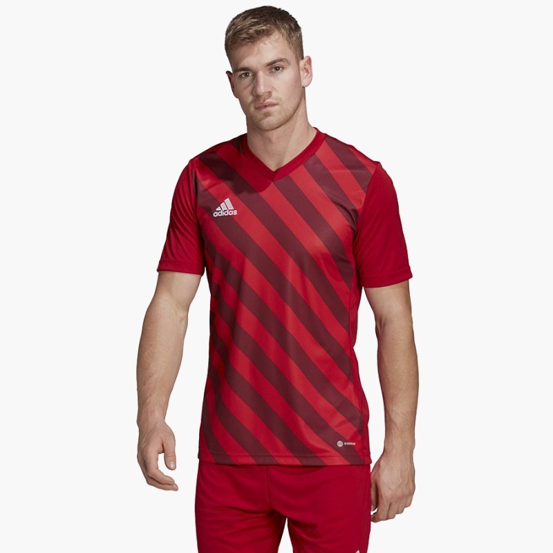 adidas Entrada 22 Graphic Jersey M HB0572