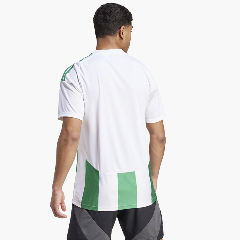 Adidas Striped 24 JSY M T-shirt IW2148