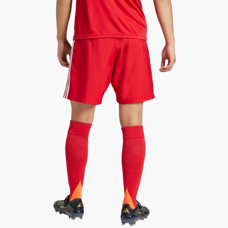 adidas Tastigo 25 M JN7157 shorts