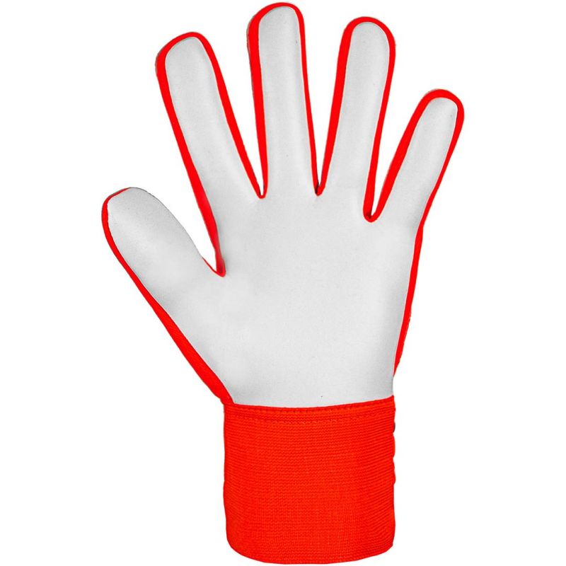 nanito_source_url:https://b2bsportswholesale.net/public/storage/productimages/13/e7/49/78/1374327/image/xlarge_clean.jpg