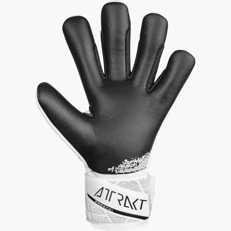 nanito_source_url:https://b2bsportswholesale.net/public/storage/productimages/3d/80/14/fc/1230478/image/xlarge_clean.jpg