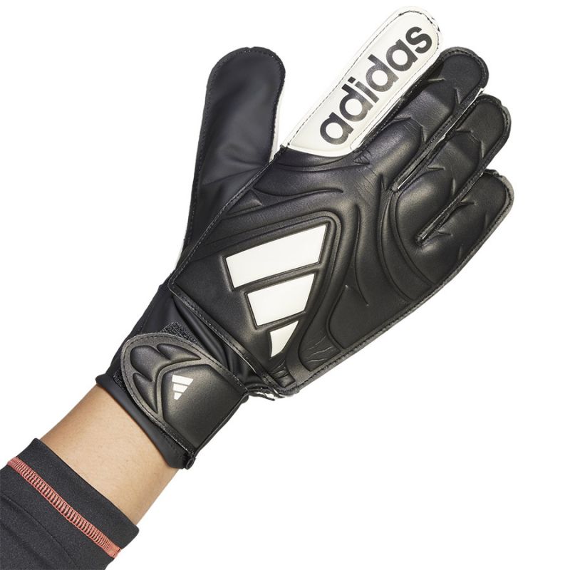 nanito_source_url:https://b2bsportswholesale.net/public/storage/productimages/07/bf/5b/a0/1364832/image/xlarge_clean.jpg