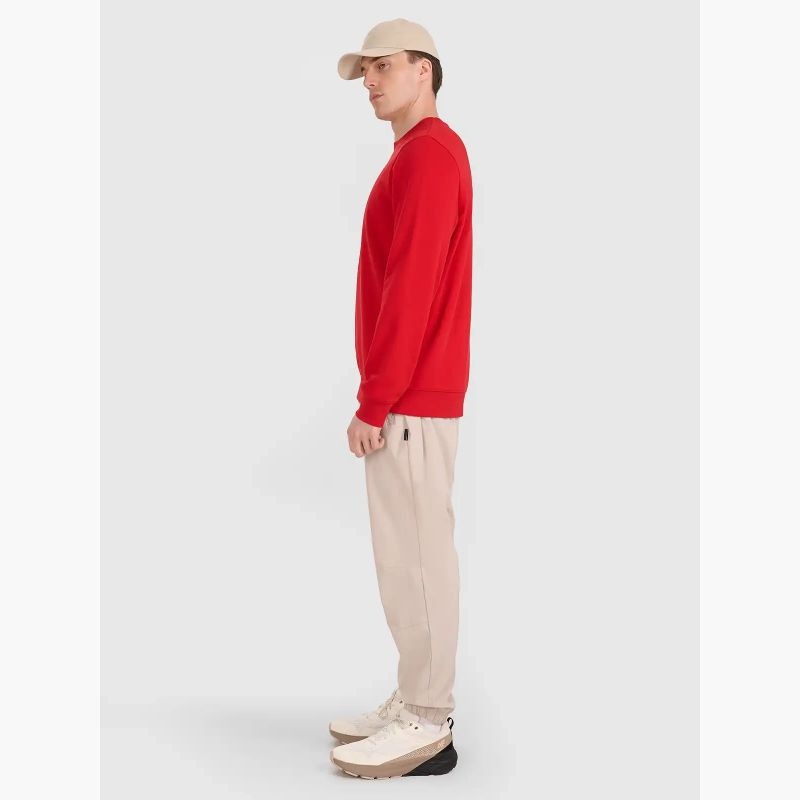 Men's sweatshirt without zipper, without hood, 4F 4FWMM00TSWSM1767-062S