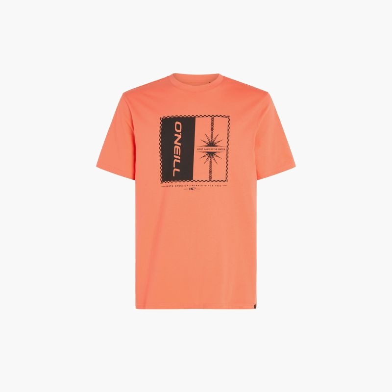 O'Neill Mix & Match Palm T-Shirt M 92800613905