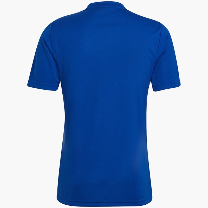 adidas Entrada 22 Graphic Jersey M HF0116