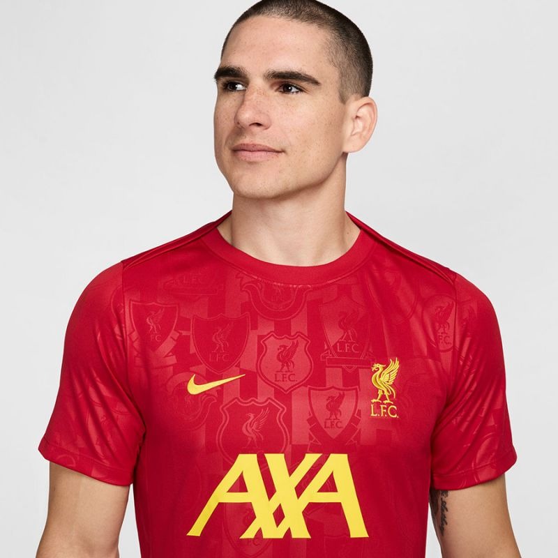 Nike Liverpool FC Academy Pro SStop M FN9653-688 T-Shirt