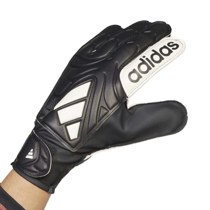 nanito_source_url:https://b2bsportswholesale.net/public/storage/productimages/11/be/6a/da/1364831/image/xlarge_clean.jpg