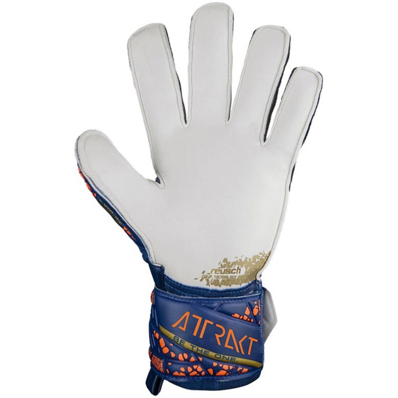 nanito_source_url:https://b2bsportswholesale.net/public/storage/productimages/b3/53/12/83/1070793/image/xlarge_clean.jpg