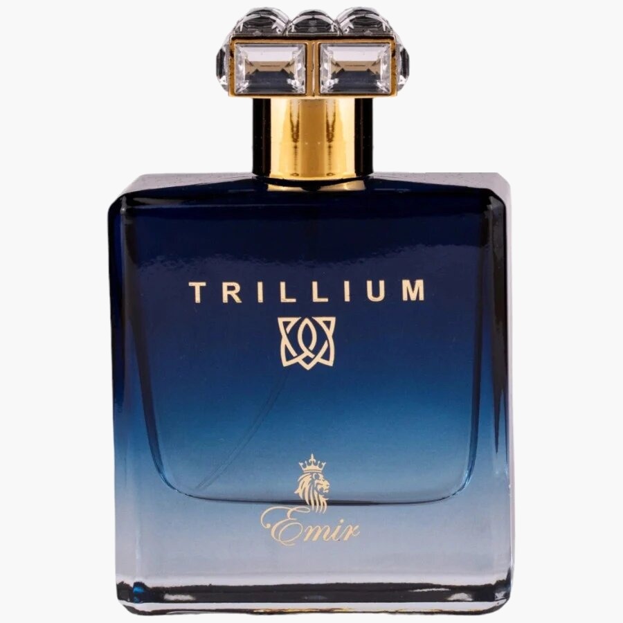 nanito_source_url:https://www.mewse.ro/images/produse/emir-trillium-eau-de-parfum-for-men-100-ml-1740304660.jpg