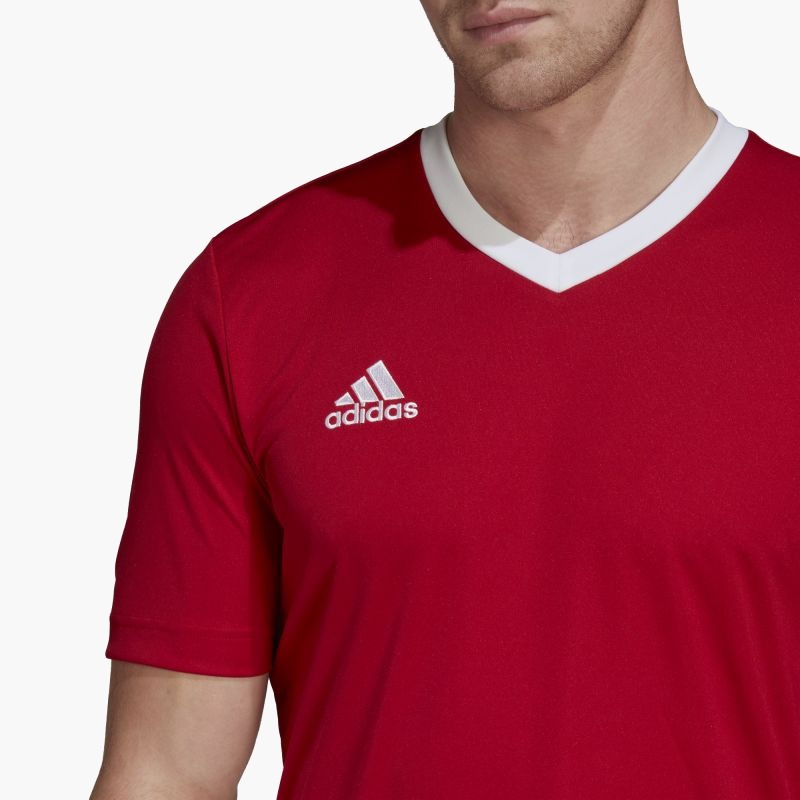 Adidas Entrada 22 M T-shirt H61736