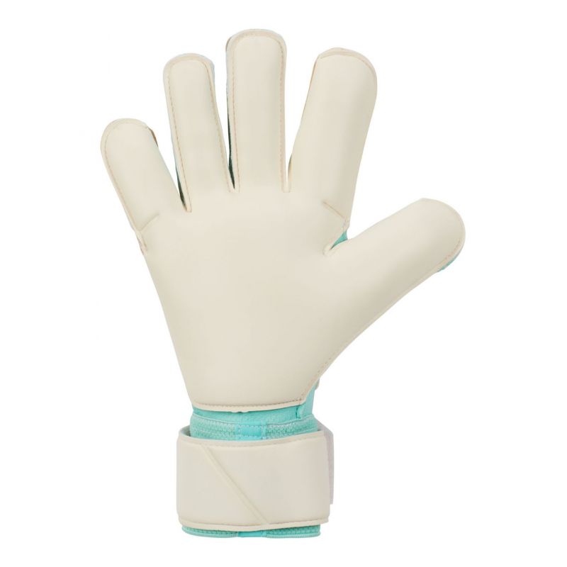 nanito_source_url:https://b2bsportswholesale.net/public/storage/productimages/78/06/16/d7/1036611/image/xlarge_clean.jpg
