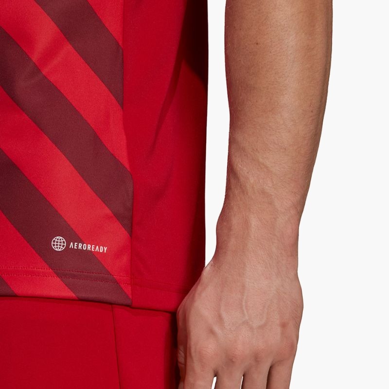 adidas Entrada 22 Graphic Jersey M HB0572