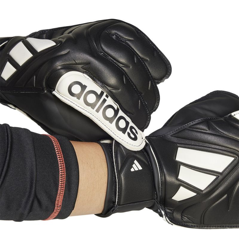 nanito_source_url:https://b2bsportswholesale.net/public/storage/productimages/ed/74/ad/d2/1364833/image/xlarge_clean.jpg