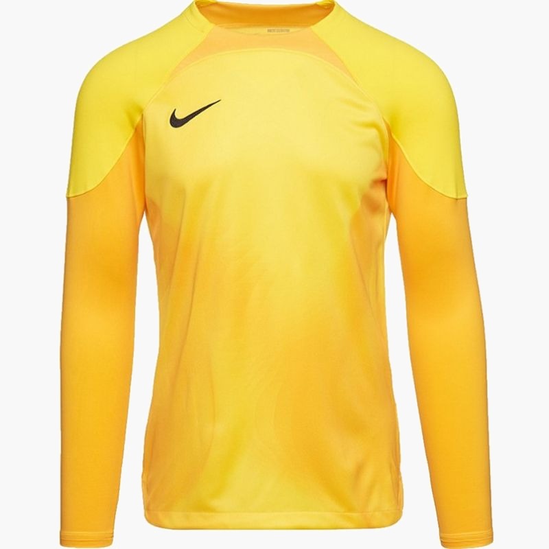 Nike Gardien IV Goalkeeper JSY M DH7967 719