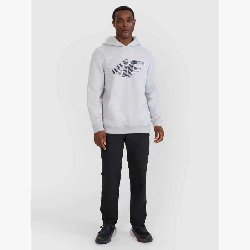 Men's sweatshirt with hood, open, 4F 4FWMM00TSWSM1766-27M