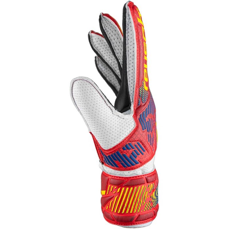 nanito_source_url:https://b2bsportswholesale.net/public/storage/productimages/71/0d/ea/2a/1125530/image/xlarge_clean.jpg