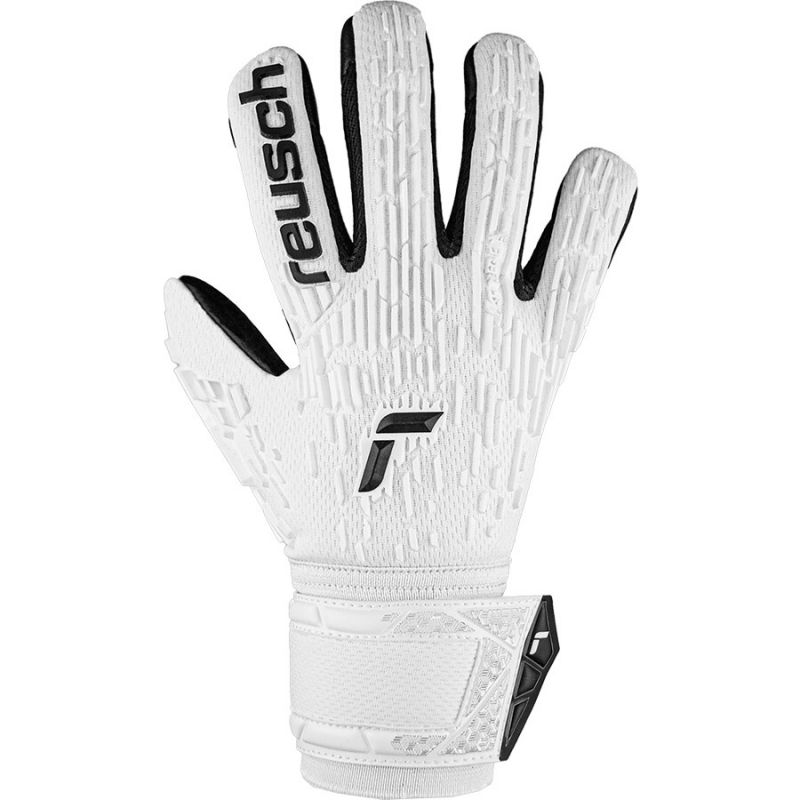 nanito_source_url:https://b2bsportswholesale.net/public/storage/productimages/56/90/69/28/1230477/image/xlarge_clean.jpg