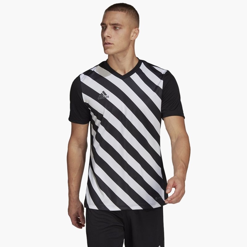 adidas Entrada 22 Graphic Jersey M HF0126