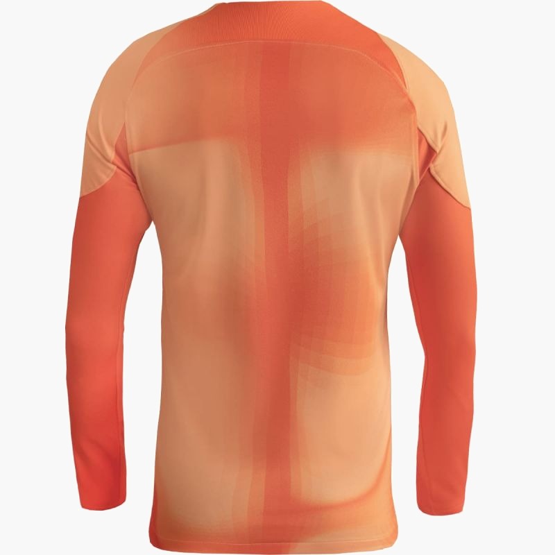 Nike Gardien IV Goalkeeper JSY M DH7967 819