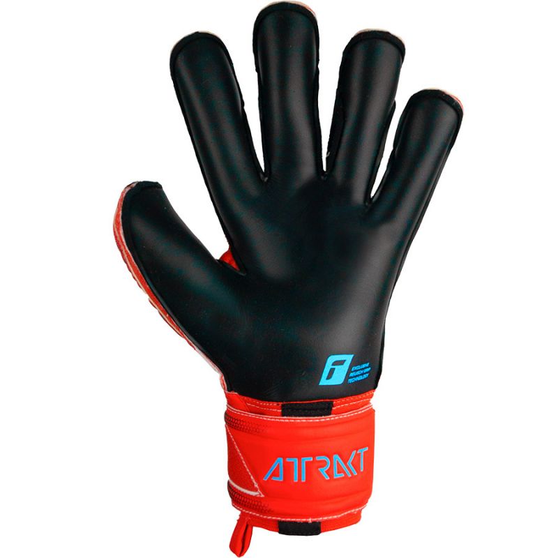 nanito_source_url:https://b2bsportswholesale.net/public/storage/productimages/d6/8a/88/1e/973398/image/xlarge_clean.jpg