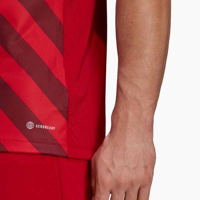 adidas Entrada 22 Graphic Jersey M HB0572