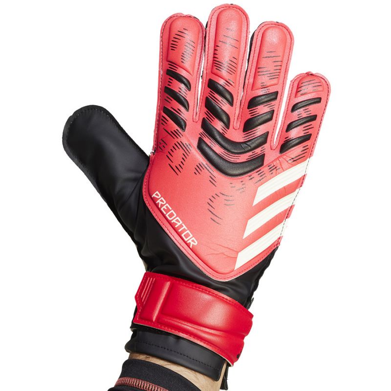 nanito_source_url:https://b2bsportswholesale.net/public/storage/productimages/d8/81/b4/6b/1334218/image/xlarge_clean.jpg