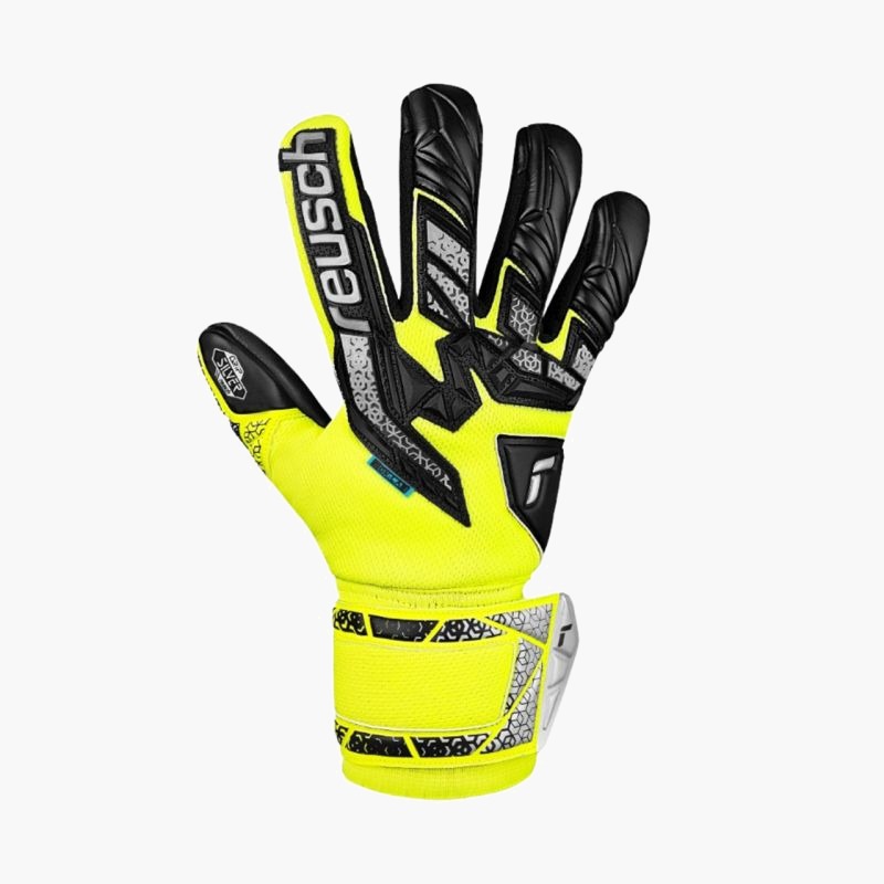 nanito_source_url:https://b2bsportswholesale.net/public/storage/productimages/e7/75/ce/68/1389568/image/xlarge_clean.jpg