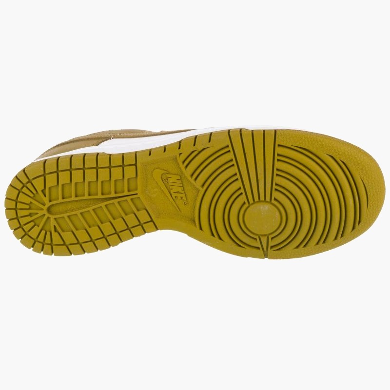 Nike Dunk Low Retro M DV0833-105 shoes