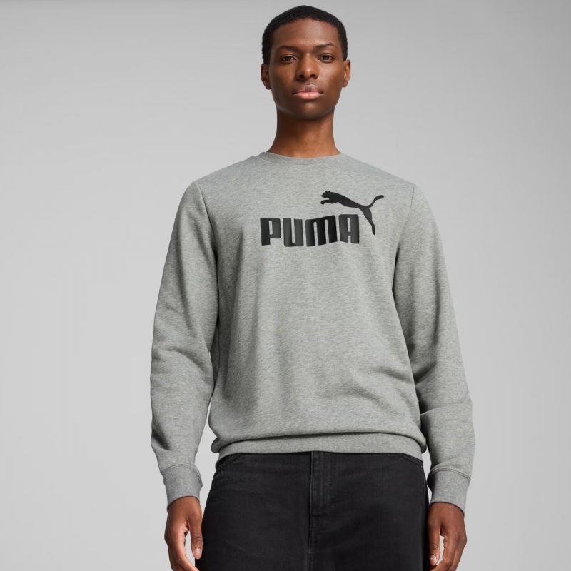 Puma ESS No.1 Logo Crew TR M sweatshirt 682560 03