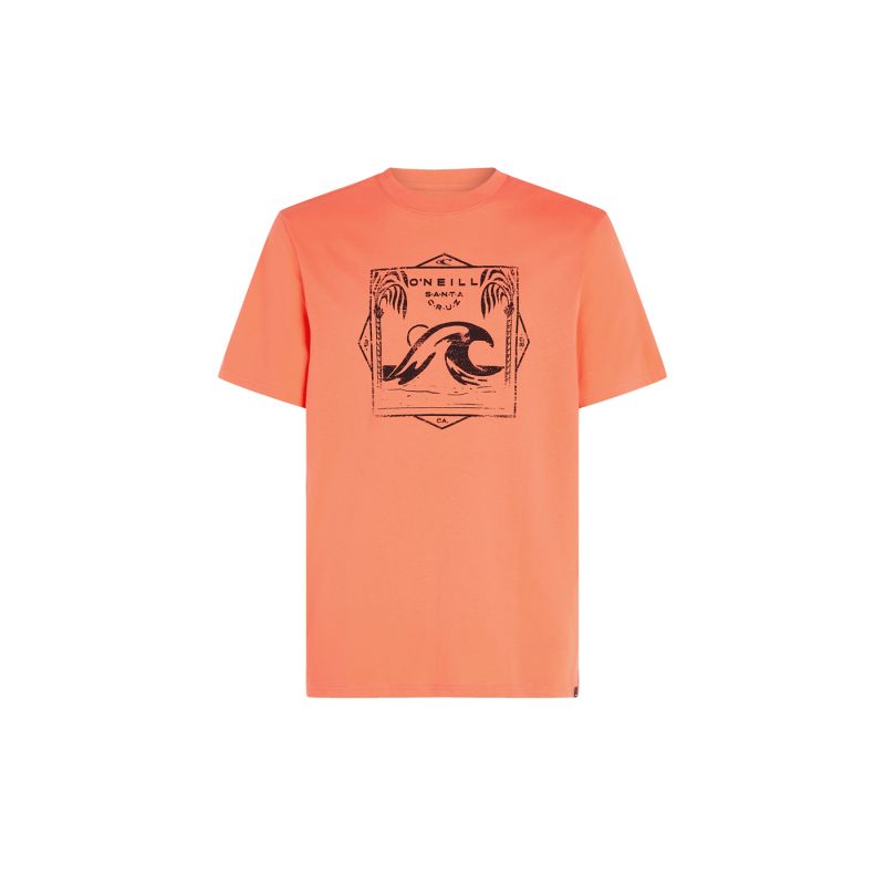nanito_source_url:https://b2bsportswholesale.net/public/storage/productimages/2a/e4/9b/a2/1103910/image/xlarge_clean.jpg