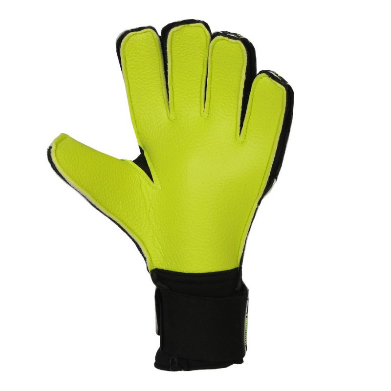 nanito_source_url:https://b2bsportswholesale.net/public/storage/productimages/3b/71/a8/8a/1117553/image/xlarge_clean.jpg