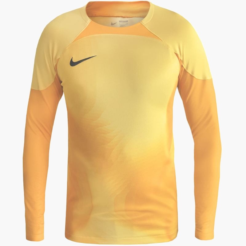 Nike Gardien IV Goalkeeper JSY M DH7967 719