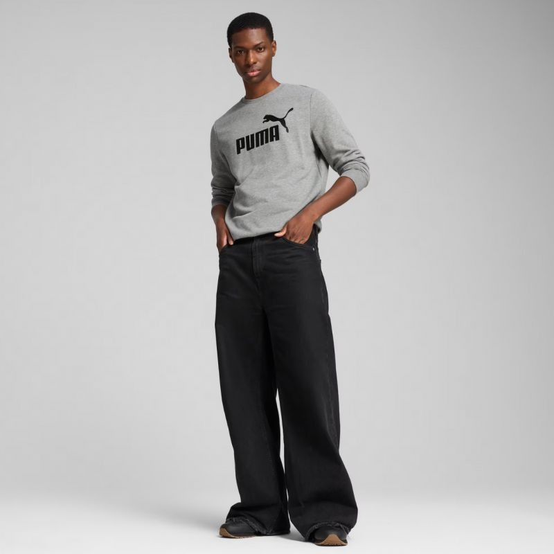 Puma ESS No.1 Logo Crew TR M sweatshirt 682560 03