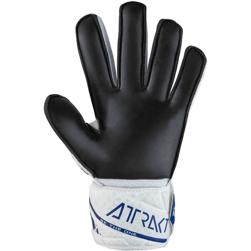 nanito_source_url:https://b2bsportswholesale.net/public/storage/productimages/ef/fb/78/93/1140834/image/xlarge_clean.jpg