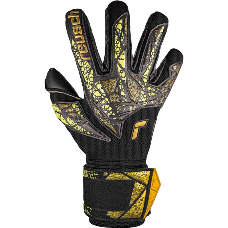 nanito_source_url:https://b2bsportswholesale.net/public/storage/productimages/a0/6e/ae/de/1230442/image/xlarge_clean.jpg