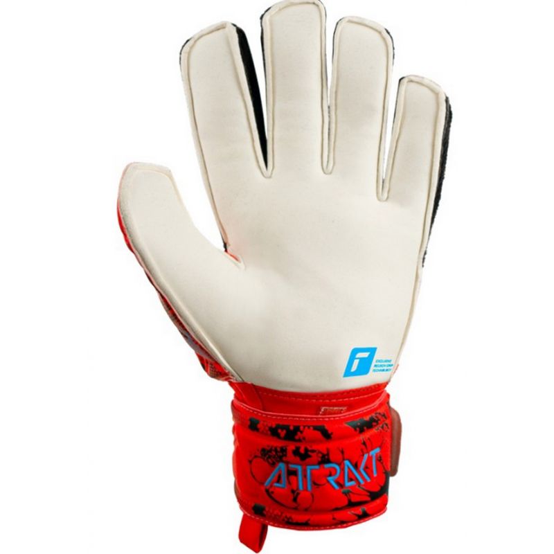 nanito_source_url:https://b2bsportswholesale.net/public/storage/productimages/a1/ad/e8/2e/974523/image/xlarge_clean.jpg