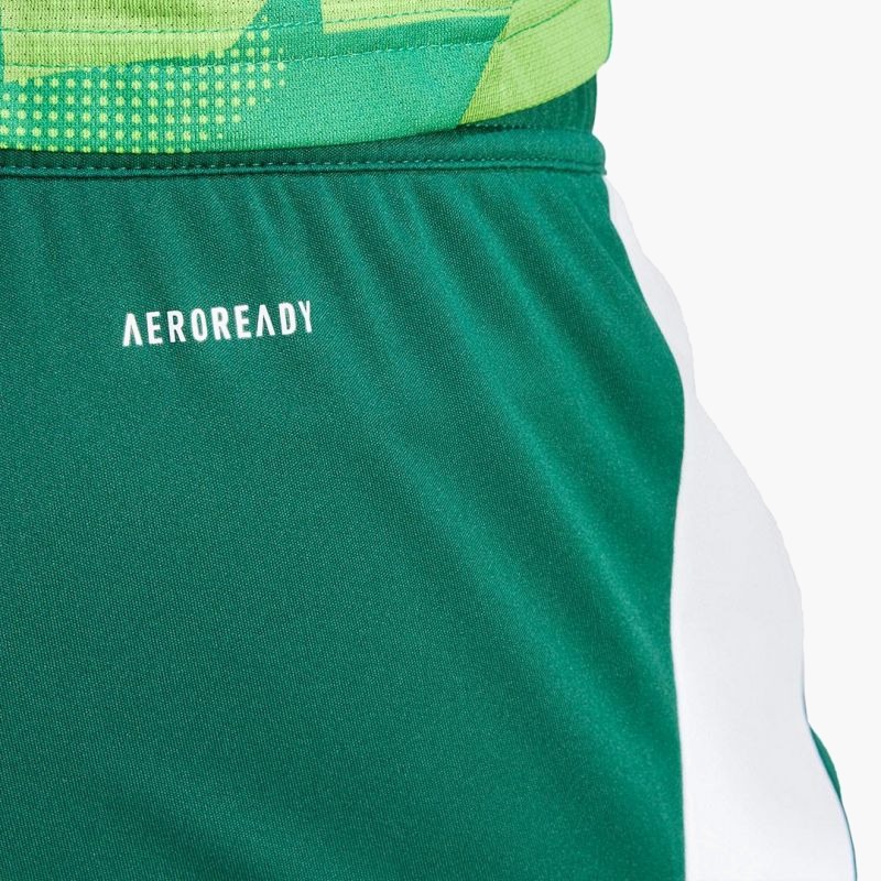 adidas Tiro 24 M IS1410 shorts