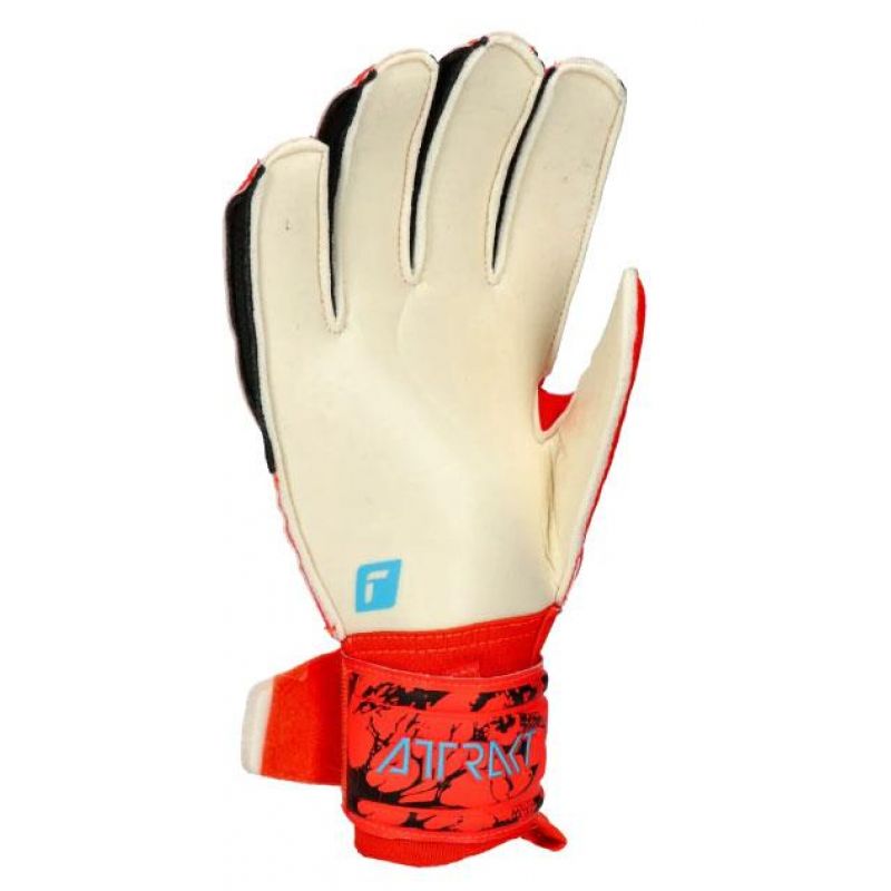 nanito_source_url:https://b2bsportswholesale.net/public/storage/productimages/9c/63/ec/d7/950245/image/xlarge_clean.jpg