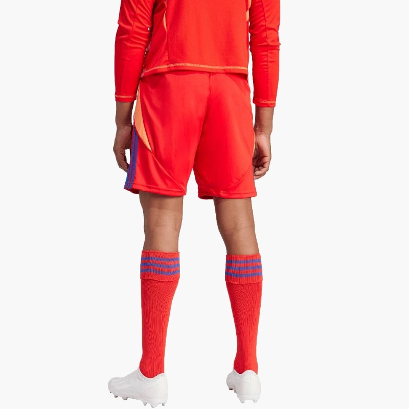 adidas Tiro 24 M IT2416 shorts