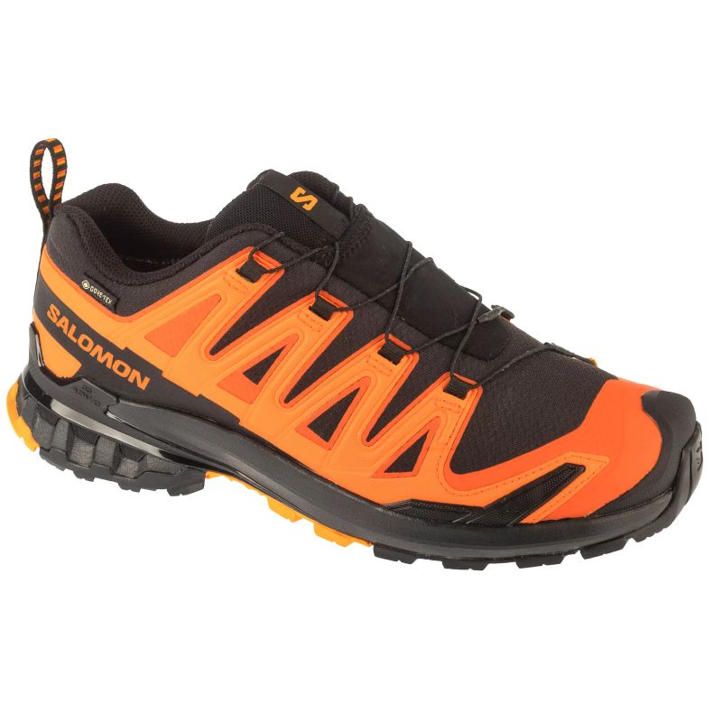 Salomon XA Pro 3D v9 GTX M L47961000 Running Shoes