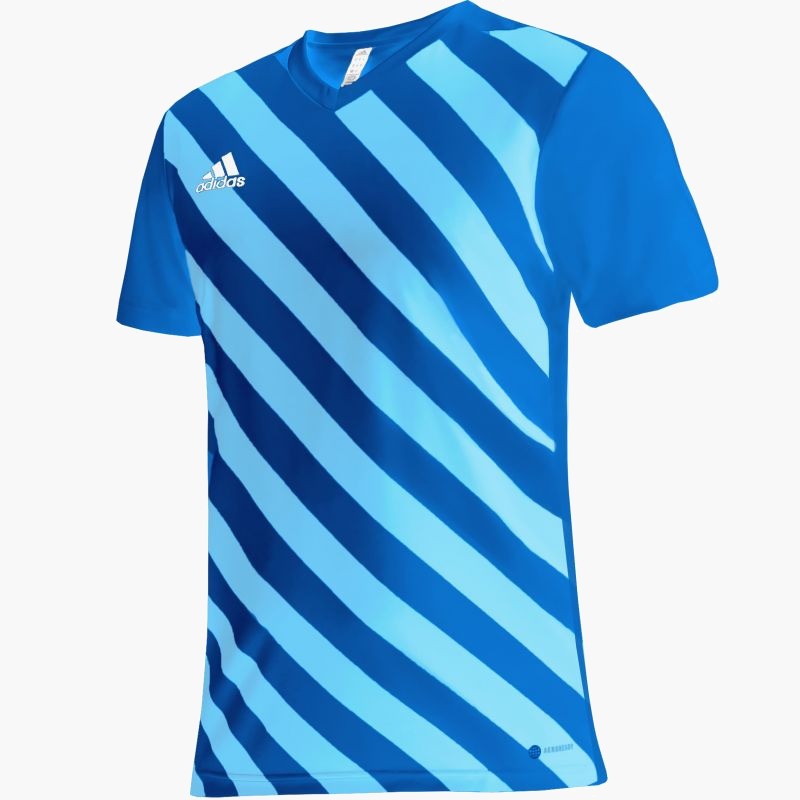 adidas Entrada 22 Graphic Jersey M HF0116