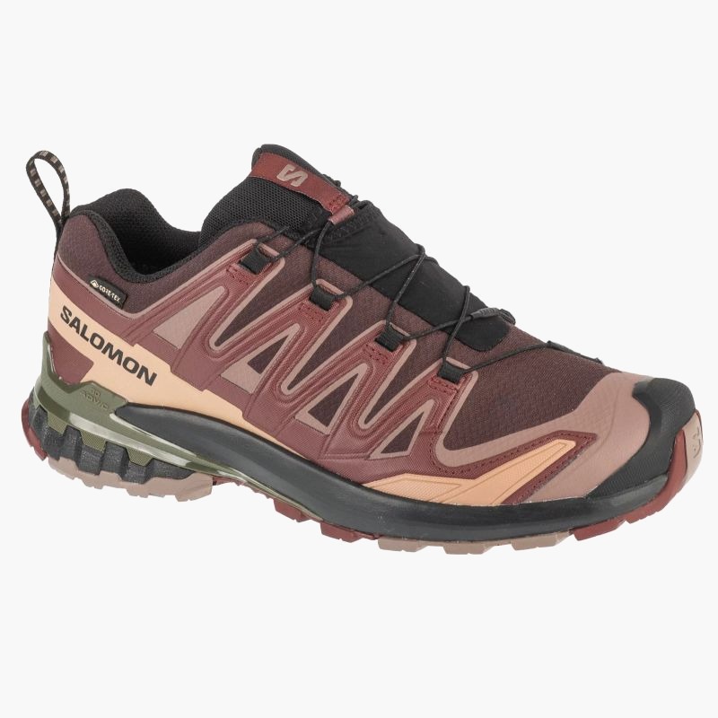 Salomon XA Pro 3D v9 GTX M L47583500 Running Shoes