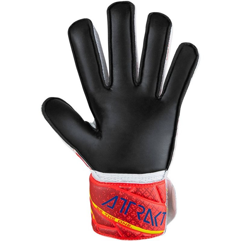 nanito_source_url:https://b2bsportswholesale.net/public/storage/productimages/15/2c/ab/f4/1125529/image/xlarge_clean.jpg
