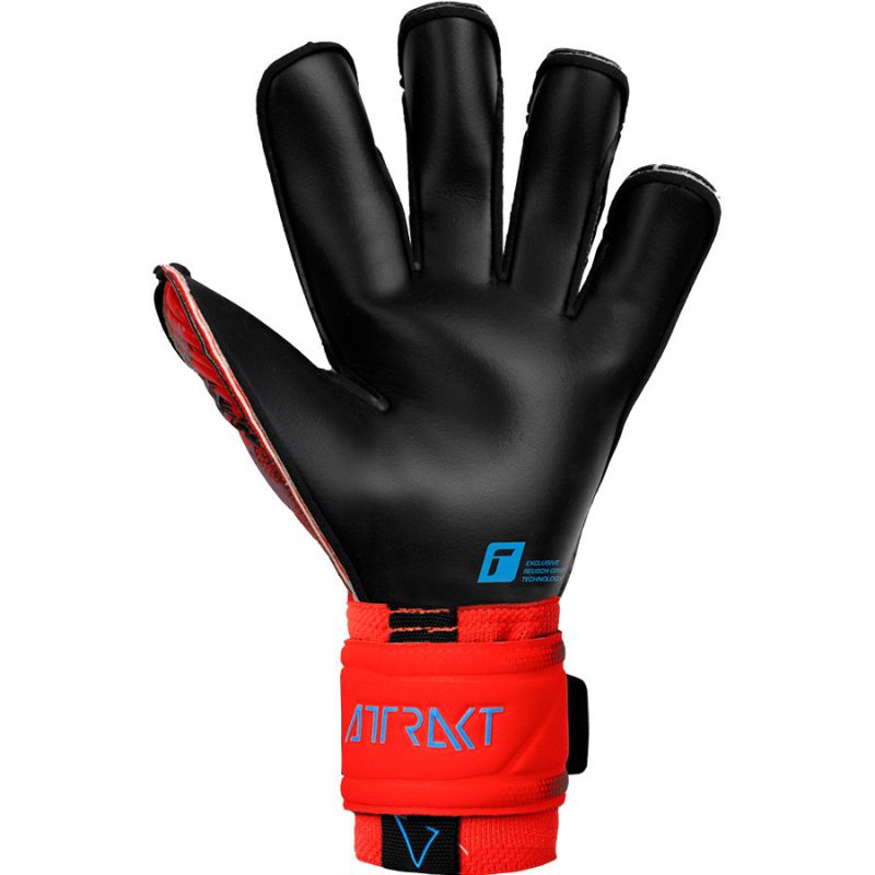 nanito_source_url:https://b2bsportswholesale.net/public/storage/productimages/d6/7c/a8/3f/1230500/image/xlarge_clean.jpg