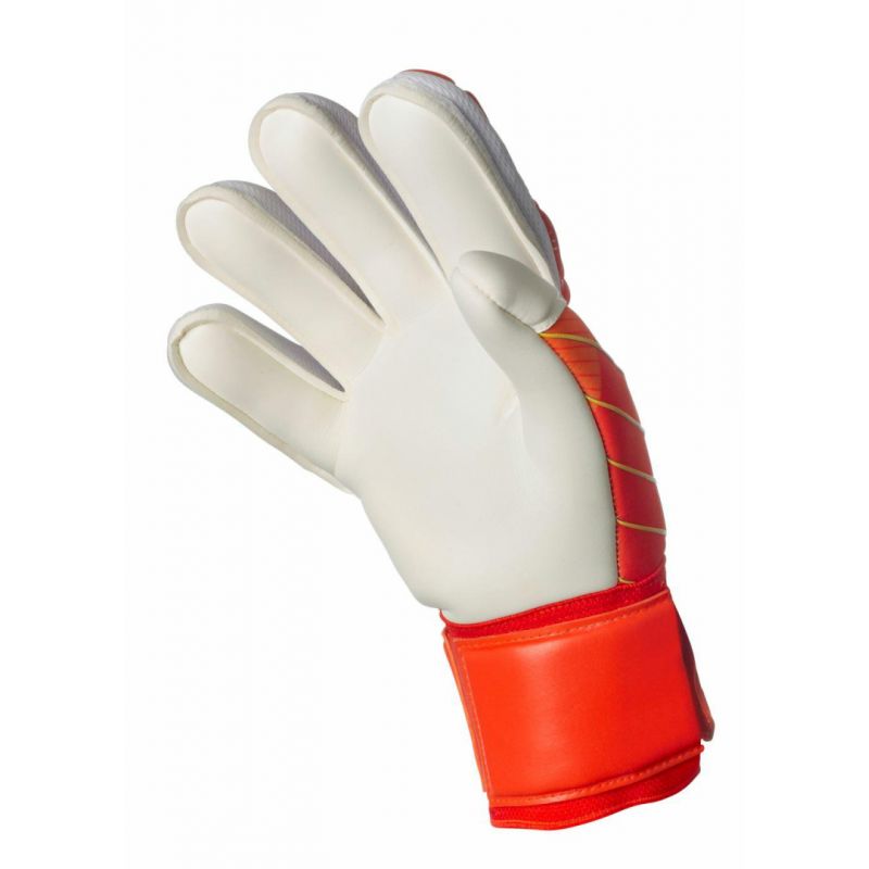 nanito_source_url:https://b2bsportswholesale.net/public/storage/productimages/c7/19/99/f6/1094203/image/xlarge_clean.jpg