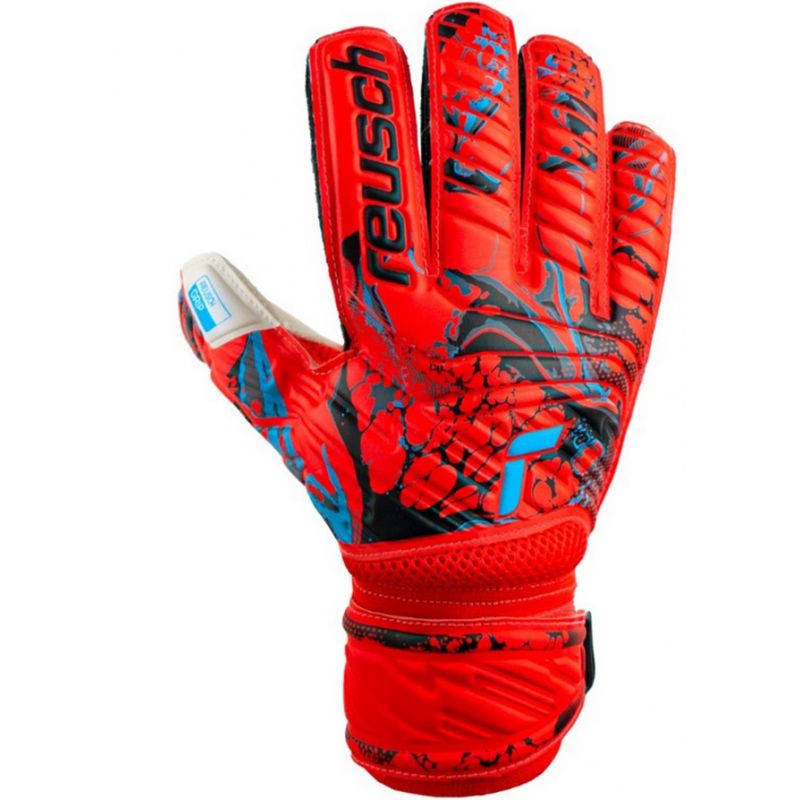 nanito_source_url:https://b2bsportswholesale.net/public/storage/productimages/7d/63/76/52/974524/image/xlarge_clean.jpg