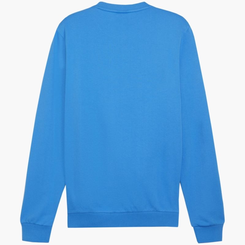 Puma Team Goal Casuals Crew Neck Sweat M 658592 02