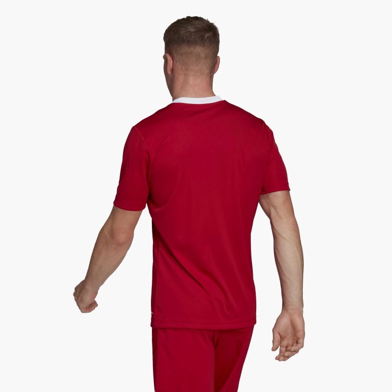 Adidas Entrada 22 M T-shirt H61736