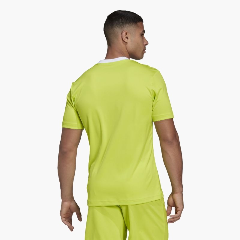 Adidas Entrada 22 M T-shirt HC5077